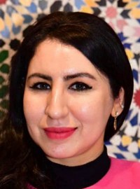 دولة المفارقات...