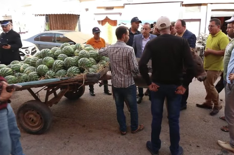 منع العربات المجرورة بالدواب