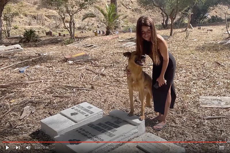 مقبرة الكلاب بطنجة