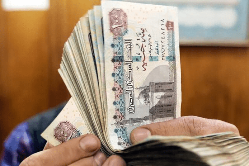 استياء واسع بعد انهيار الجنيه المصري