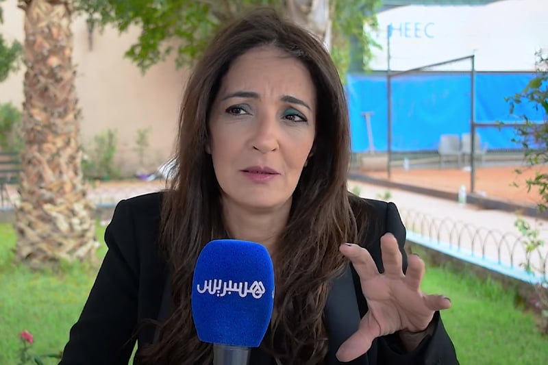 حنان الفاضلي والحياة الفنية
