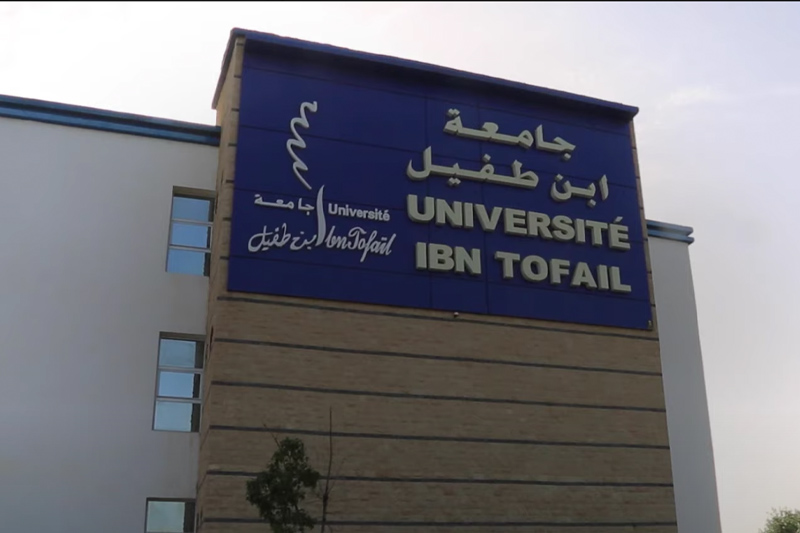 جامعة ابن طفيل الأولى وطنيا