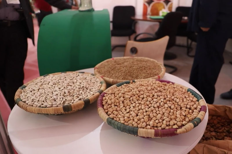 معرض الحبوب والقطاني