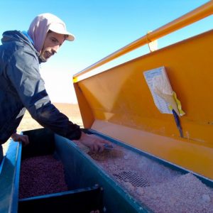 مبادرة "المثمر" للزرع المباشر تواصل تثبيت المنصات التطبيقية في المغرب‬