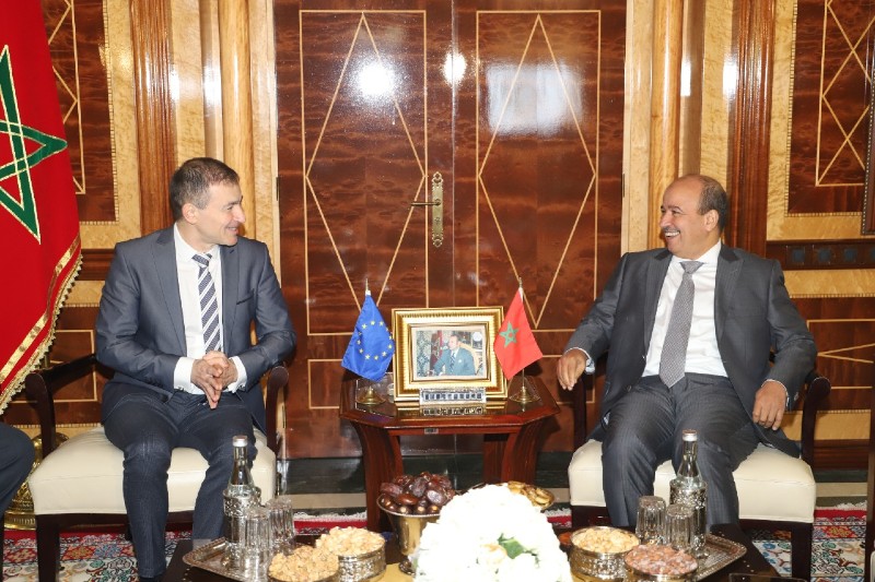 ميارة يشيد بالعلاقات بين المغرب وأوروبا