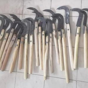محكمة تيزنيت تدين طالبا بـ3 أشهر حبسا