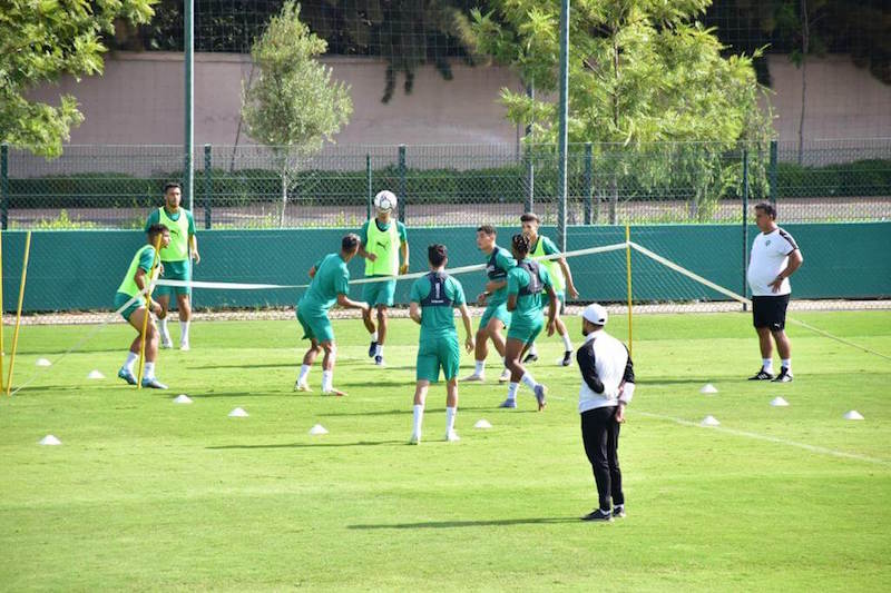 نهائيات كأس إفريقيا للاعبين المحليين تدخل التحرشات الجزائرية الحلبة الرياضية