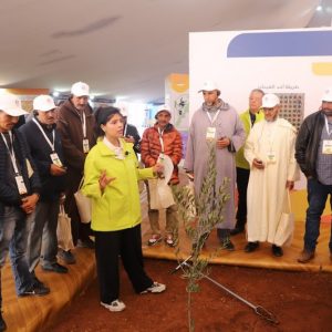 قافلة "المثمر" المتنقلة لزراعة الزيتون تحط الرحال بمدينة قلعة السراغنة