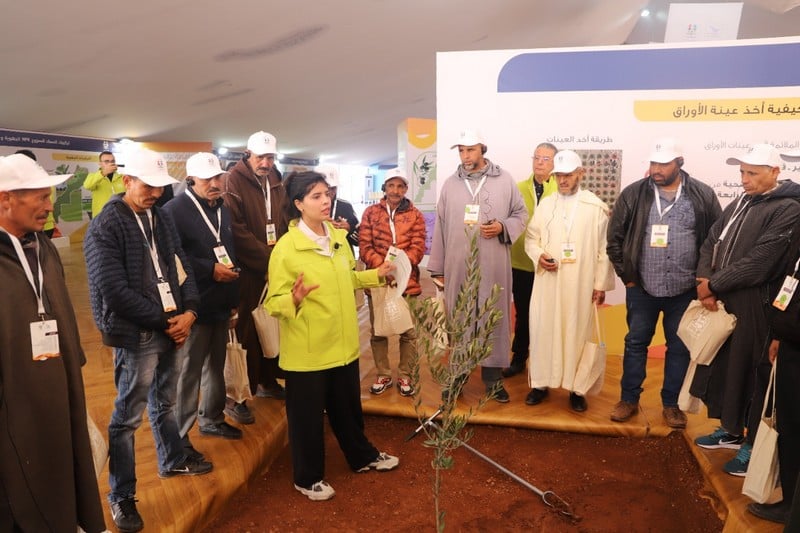 قافلة "المثمر" المتنقلة لزراعة الزيتون تحط الرحال بمدينة قلعة السراغنة