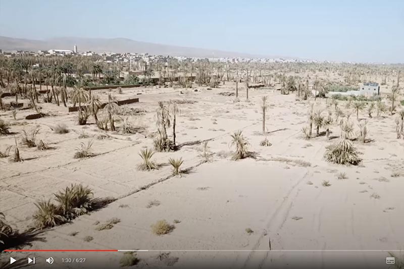 واحة درعة تعاني الجفاف