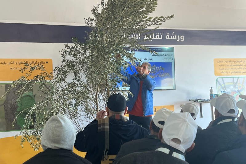 برنامج "المثمر" يشجع المزارعين على ممارسات فلاحية تحترم البيئة بمكناس