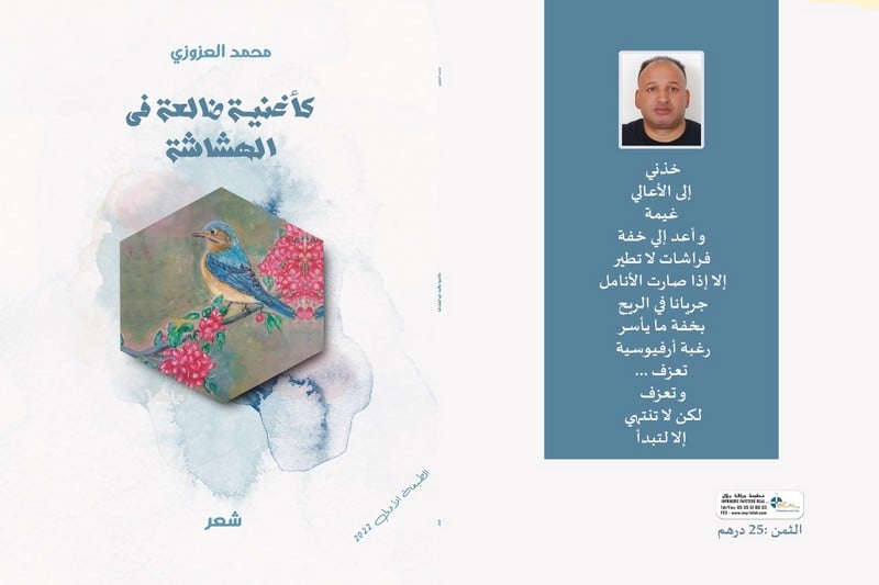 صدور ديوان "كأغنية ضالعة في الهشاشة"