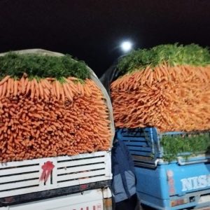 تاجر بإنزكان: ظروف مناخية وراء الغلاء