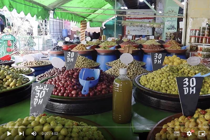 غلاء أسعار الزيتون