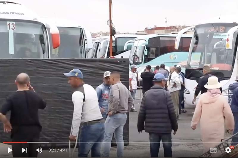 حوار وزارة النقل والمهنيين