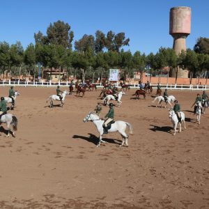 مُجندون يتلقون تدريبات على مهن الفروسية في مجموعة سرايا الخيالة بخنيفرة
