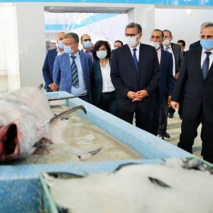 أخنوش: قطاع الصيد البحري يحقق صادرات بقيمة 28 مليار درهم في المغرب