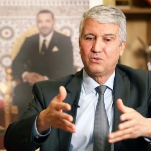 وزير الفلاحة: أسعار اللحوم الحمراء تنخفض في المغرب.. والأولوية للسوق الوطنية