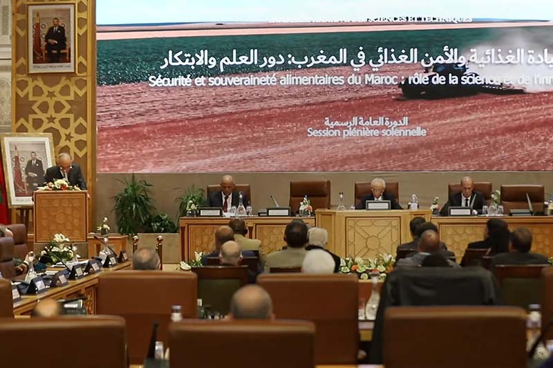 دور الابتكار في الأمن الغذائي