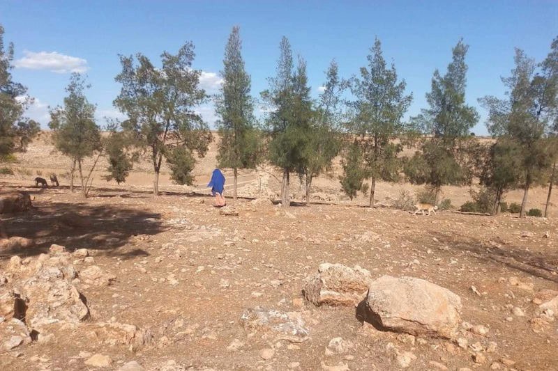 جمعية تطلب إنقاذ حزام أخضر بخريبكة