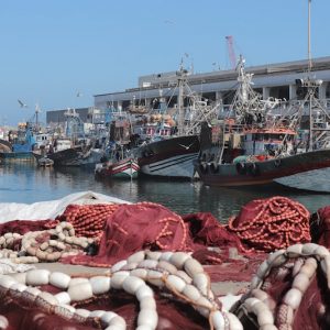 ‪المفوضية الأوروبية تبحث عن سبل لتجديد اتفاقية الصيد البحري مع المغرب‬