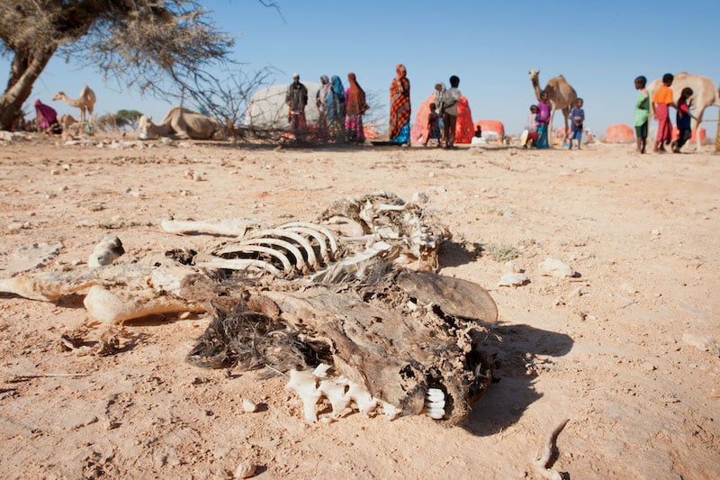 الجفاف يهدد الصومال بـ135 وفاة يوميا