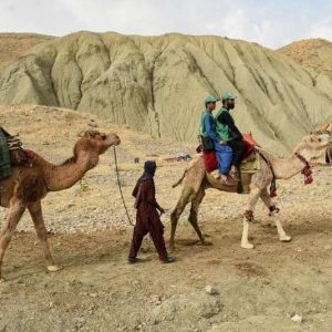 إحصائيون على الجمال يقصدون المناطق النائية في باكستان
