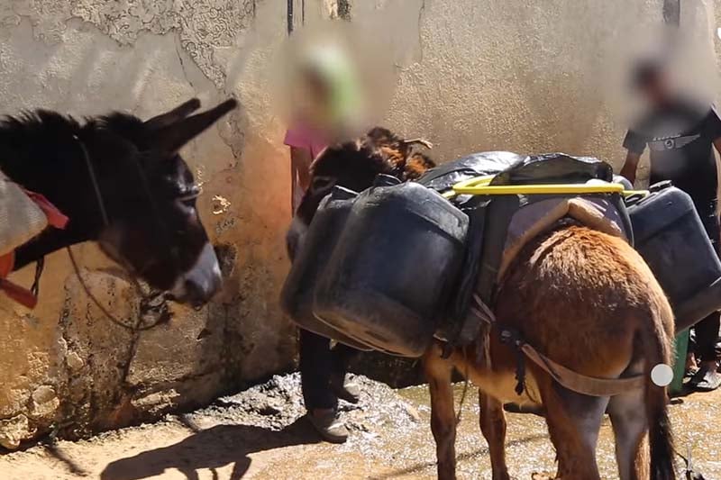 مطالب بالتنمية نواحي القنيطرة