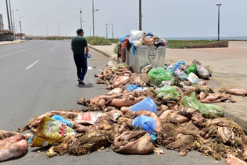 حملة تحسيسية لجمع نفايات عيد الأضحى