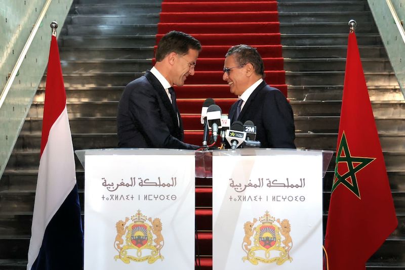 مباحثات تجمع أخنوش والوزير الأول لهولاندا