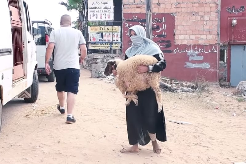 مبادرة شبابية لتوزيع الأضاحي