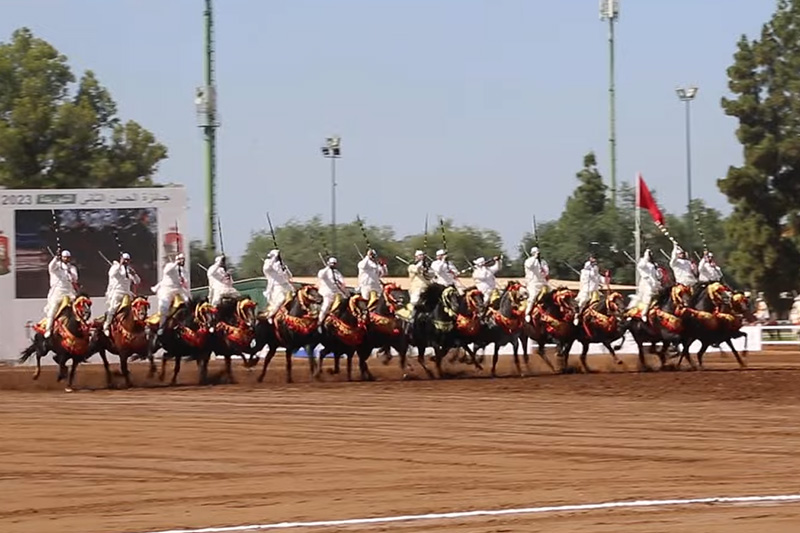 الجديدة تحصد جائزة التبوريدة