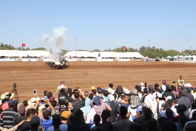 عروض "التبوريدة" تجذب الجمهور