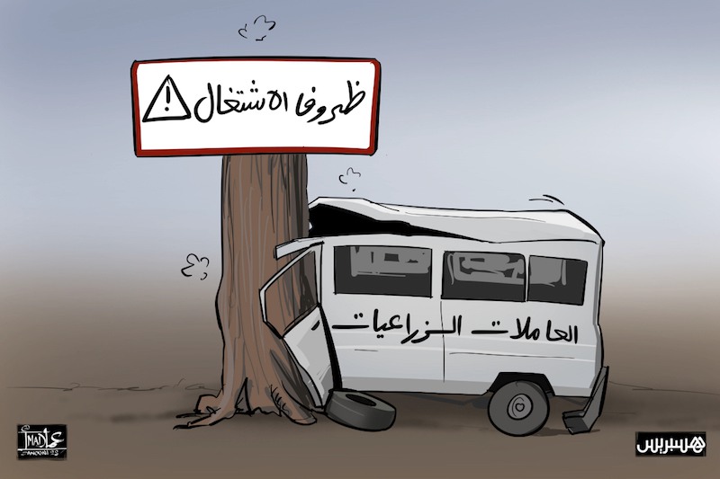 جمعية تنتقد أوضاع العاملات الزراعيات