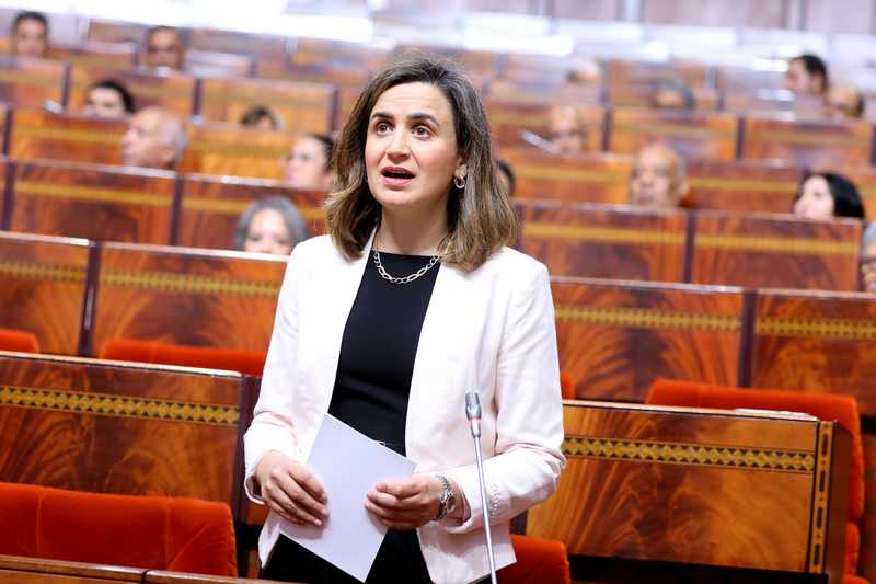 برلماني للوزيرة مزور: "أنتم حكومة الشفوي"