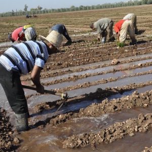 خبراء يسلطون الضوء على إشكالية ندرة المياه والتغيرات المناخية بالمغرب