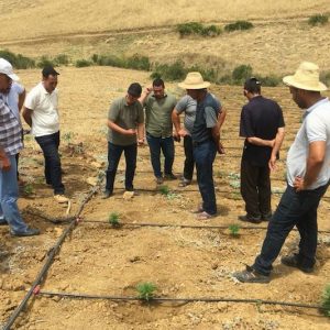 تدشين مقر مديرية تقنين "الكيف" بتاونات