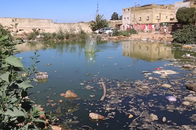 السكن جنب العفن في مديونة