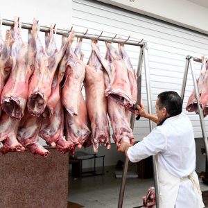 مربو الأغنام: فائض الأضاحي يلبي حاجيات السوق لأربعة أشهر بعد "العيد الكْبير"