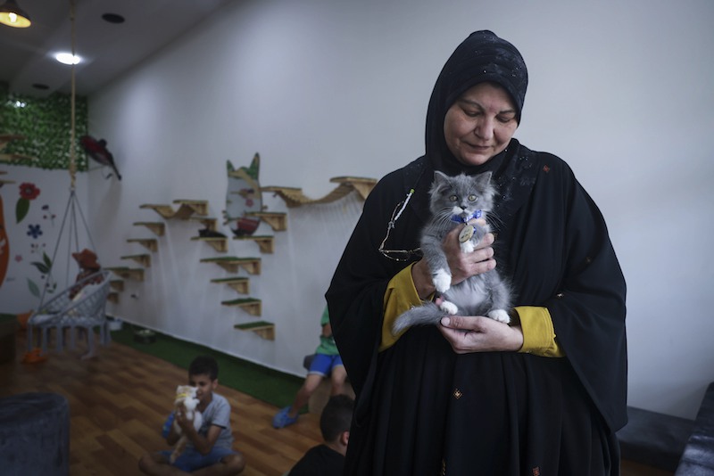 مقهى للقطط في غزة يدعم السكان أمام ضغوط الحياة