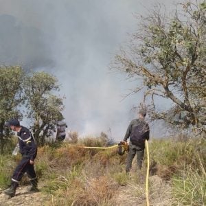 النيران تلتهم "غابة مغراوة" في تازة .. الرماد يتناثر على البشر والحجر والشجر
