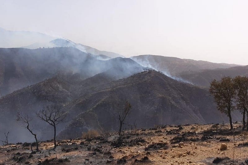 السيطرة بالكامل على حريق غابة مغراوة