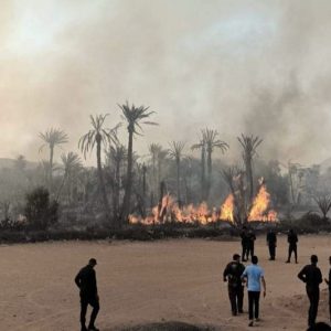 الوقاية المدنية تصارع النار بواحة أسرير