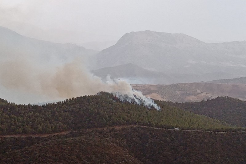 حريق جديد يندلع في غابة مغراوة بتازة