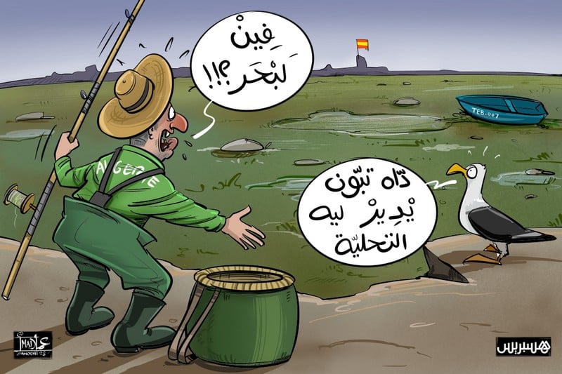 تحلية المياه تصادم المسؤولين في الجزائر