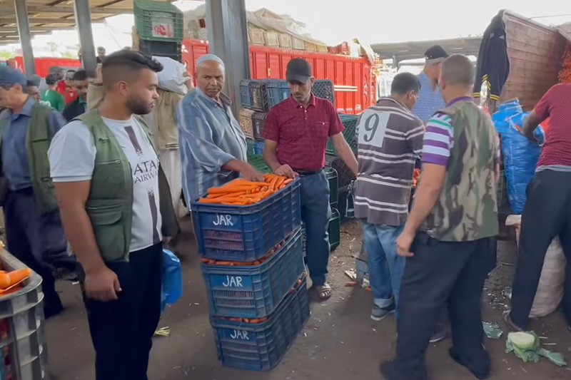 أسباب ارتفاع أسعار الخضروات