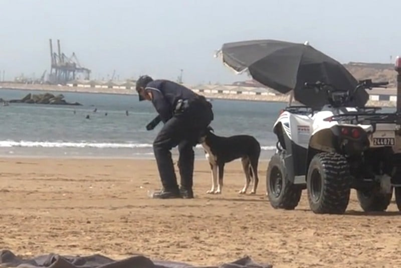 شرطي ينال إشادة واسعة بعد إرواء كلب ضال في شاطئ أكادير