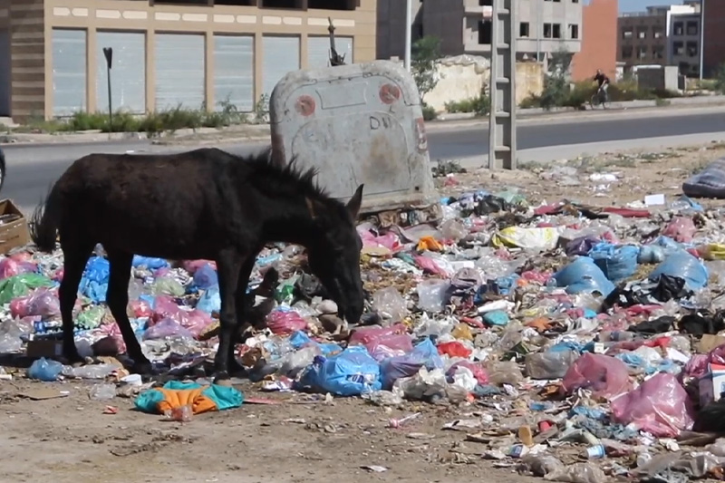 انتشار الأزبال بشوارع الجديدة