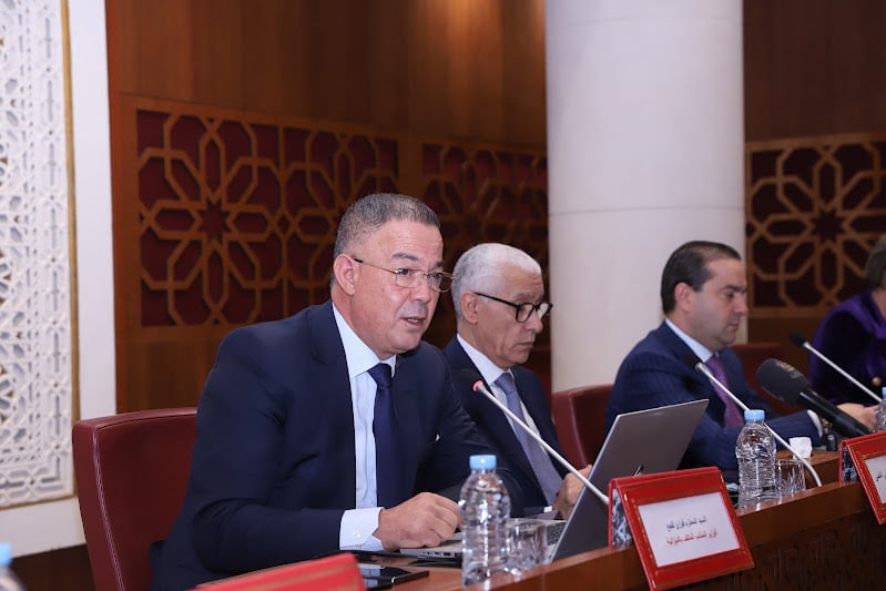 لقجع يبسط أبرز مضامين وأهداف "تعديل القانون التنظيمي لقانون المالية"