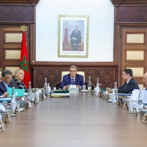 مؤسسات دستورية تنتظر "التنزيل" .. وفاعلون يطلبون التفعيل أو التعديل